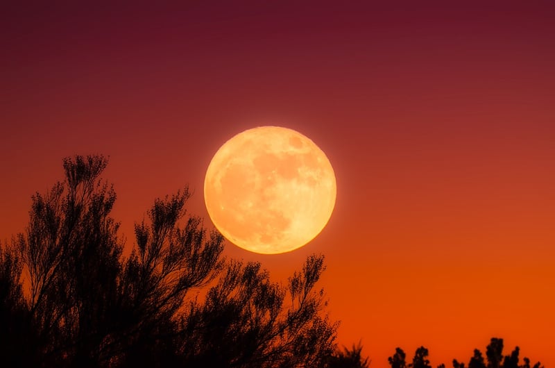 Lunar Harvesting